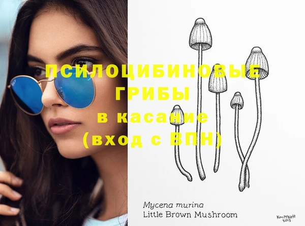 PSILOCYBIN Абинск