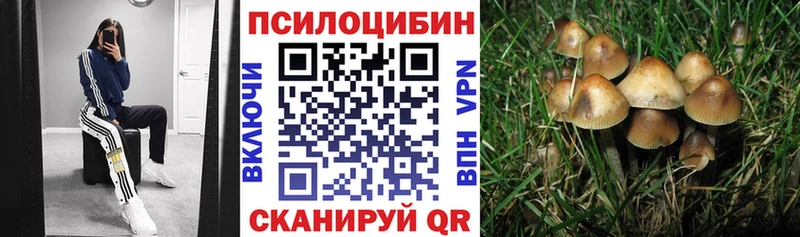 Галлюциногенные грибы Cubensis  дарк нет официальный сайт  Заринск 